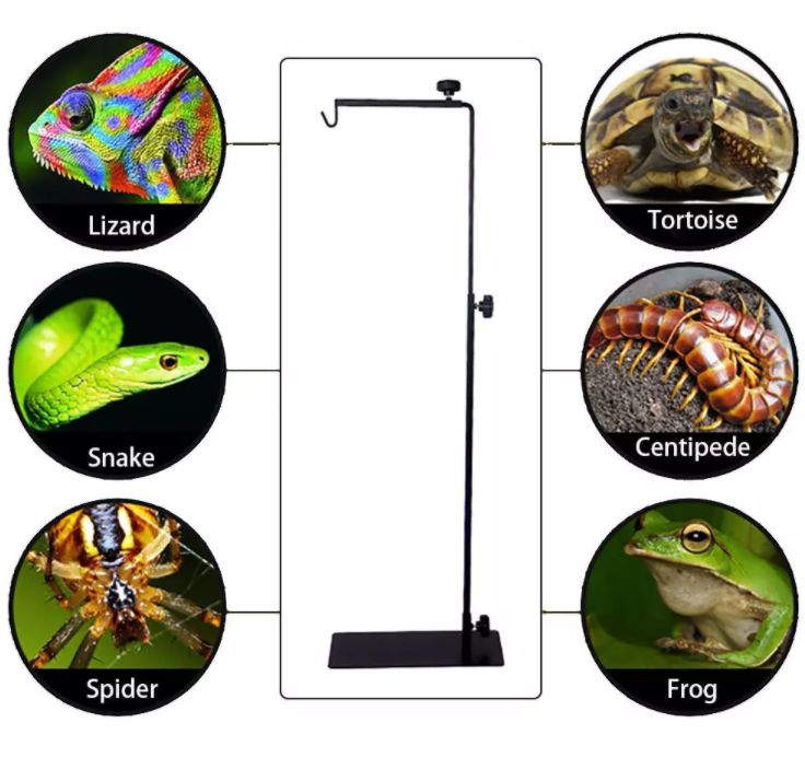 Adjustable Reptile Heating Lamp Stand