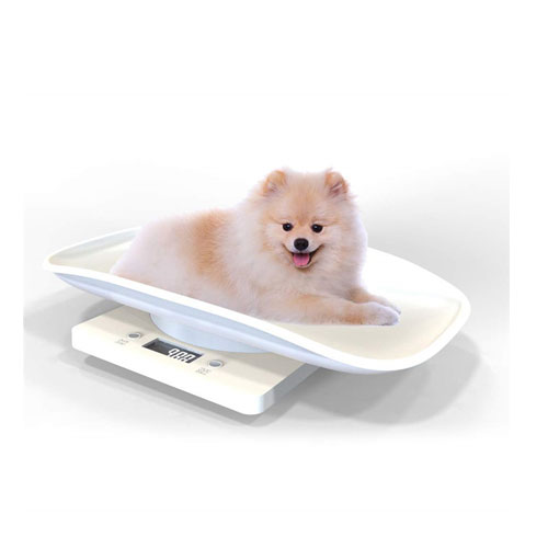 Mini Digital Baby Pet Scale